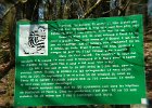 Glomel - la grande tranchee (2)